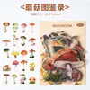 Serie Ilustrada de la Naturaleza Pegatinas Impermeables Transparentes de Mascotas, Plantas Frescas y Flores para Collage Decorativo y Diario DIY