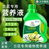 Solución nutritiva concentrada para orquídeas, plantas, flores, fertilizantes, clivia, phalaenopsis, fertilizante líquido universal, venta al por mayor.