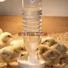 Alimentador de agua para pollitos de codorniz a prueba de ahogamiento, de venta caliente transfronteriza, Alimentador de agua para pollitos, Dispensador de agua para mascotas con flujo automático