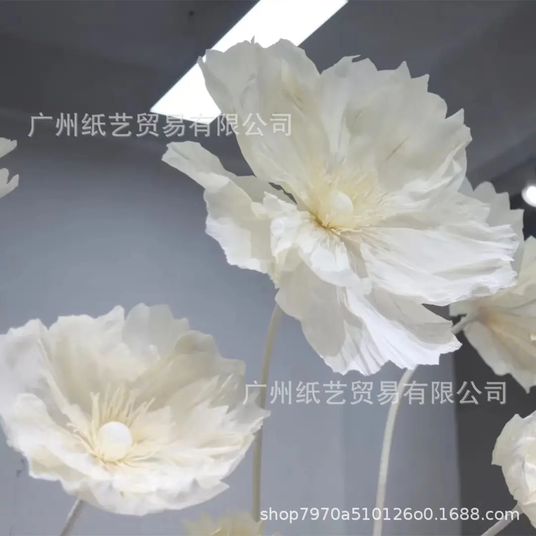 微信图片_20221013230250_副本