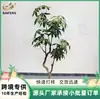 Venta al por mayor de fábrica árbol de la fortuna de simulación árbol falso planta de simulación planta verde de sentido avanzado decoración de hogar hotel flores artificiales