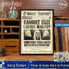 Poster Autêntico Diário do Profeta de Harry Potter Filme e Televisão Periférico Pôster de Filme Academia de Magia Pintura Decorativa
