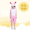 Ropa de Rendimiento Infantil Nueva Ropa de Rendimiento de Animales Jardín de Infancia Dinosaurio Cerdo Rana Conejo Tigre Ratón Niuhuang Pollo Pato