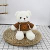 Suéter de Muñeca Osito de Peluche Juguete de Peluche Oso Abrazo Oso Caja de Regalo Muñeca Osito Más Logotipo Regalo para Evento