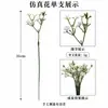 Amazon Cross-Border Flor Artificial Haste de Folha de Eucalipto Artificial Ramo Curto de Dólar de Prata Folha Decorativa Planta Verde Simulada Folha de Plástico