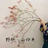 Plantas Hidropónicas, Rosas de Montaña, Arreglos Florales Cortados Frescos, Fáciles de Mantener, Floreros de Flores Secas de Vid de Serpiente del Sur, Estilo Retro de Lujo Ligero