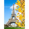 Nova pintura de diamante faça você mesmo Torre de Paris Diamante redondo Diamante cheio de cristal Artesanato Fábrica de atacado transfronteiriça