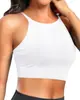 Biquíni esportivo transfronteiriço plus size 2025 top maiô regata Amazon europeu e americano sexy feminino