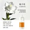 Refil de Fragrância para Difusor de Aroma 1000ml Hotel Pousada Quarto Duradouro Casa Banheiro Purificador de Ar Difusor de Aroma