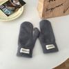 Pedido de Corea del Sur ~ bolso de imitación de pelo de visón guantes para los dedos color fresco lindos guantes tipo manopla estilo ins cálidos para estudiantes en otoño e invierno