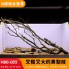 Árbol para paisajismo de acuario sudamericano, ramas secas, ramas de peral amarillo, decoración de sustrato, pecera pequeña, ramas naturales, decoración de paisajismo y paisajismo.
