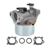 Adecuado para 799866 790845 799871 796707 794304 491588S Carburador