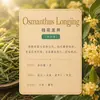 Botella pequeña de 10 ml de aceite esencial de aromaterapia sin llama, líquido de recarga para difusor de aroma de hotel, fragancia natural, aroma duradero, venta al por mayor