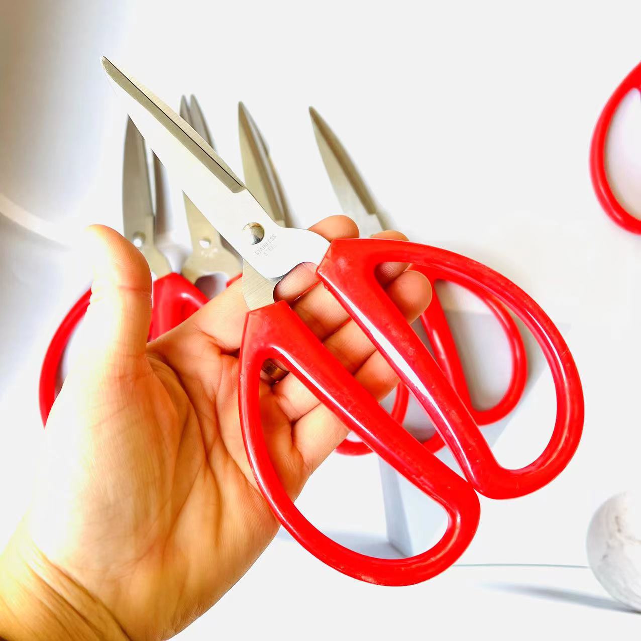 a6afec84d912621375240dc4f58909