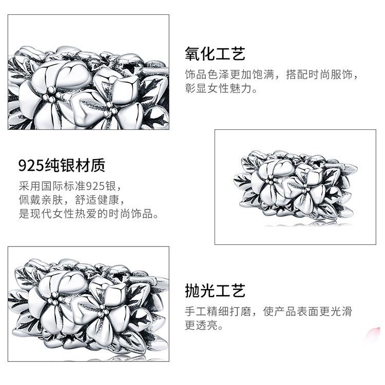 SCC1488_04.jpg