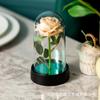 Flor Preservada Cubierta Acrílica Rosa Lámina de Oro 520 Día de la Madre Navidad Día de San Valentín Regalo Adorno Regalo Festivo