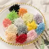 Palitos Retorcidos de Colores Macaron para Manualidades DIY, Materiales y Accesorios para Niños al por Mayor, Versión Encriptada, Terciopelo Denso, Centros de Flores y Estambres Realistas