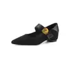 Sapatos Mary Jane Retrô para Mulheres 2026 Nova Primavera Estilo Francês Salto Anabela 4,5cm Bico Fino Super Estiloso Sapatos de Salto Baixo
