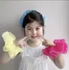 Anillos para el Cabello de Cuerda Tejida de Color Dulce para Niños, Anillo para el Cabello, Cuerda para el Cabello, Cuerda para el Cabello, Anillo Intestinal Grande