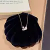 Collar de Cisne Joyería de Lujo Ligero de Moda para Mujer Joyería Simple Exquisita Colgante de Cisne Pequeño Cadena para Clavícula Collar Elegante