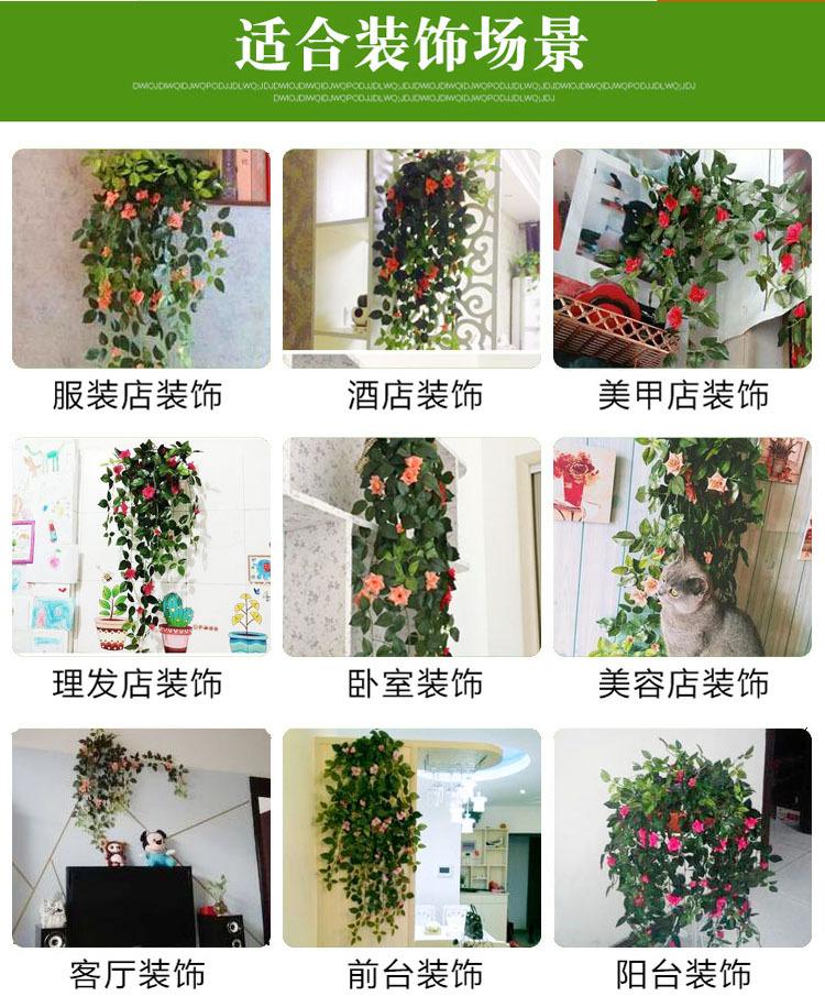 QQ图片20180221234213 副本 拷贝 副本