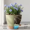 Vaso de Flores Autoirrigável Mais Vendido da Amazon, Vaso de Flores de Plástico Sem Rega para Pessoas Preguiçosas, Vaso de Flores para Plantas Verdes e Petúnias
