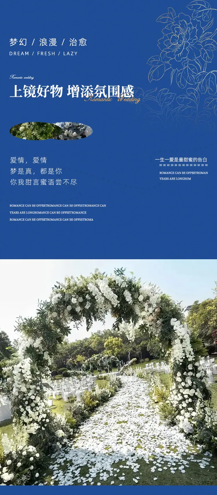 详情 (5)