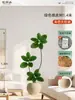 Plantas Verdes Artificiais de Alta Qualidade para Decoração de Sala de Estar, Planta Realista Falsa de Figueira-da-Índia Preta para Decoração de Sala de Transmissão ao Vivo