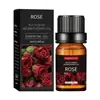 Aceite de Masaje de Aceite Vegetal de Fuente Local Aceite Esencial Suave e Hidratante Superventas Transfronterizo Aceite de Masaje Corporal 10ml