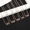 Venta Caliente Transfronteriza DIY Collar Digital de Año Cadena para Suéter de Aniversario Acero de Titanio Galvanoplastia al Vacío Joyería de Diseño Privado