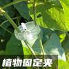Clips para Plantas para Amarrar Vinhas, Clips para Melão, Clips para Galhos de Tomate e Pepino, Clips de Suporte para Vinhas, Clips de Fixação para Vinhas, Essenciais para Jardinagem