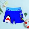 Secagem rápida respirável bonito desenhos animados calções de natação das crianças grandes crianças fonte termal boxer meninos calções de natação outlet fábrica