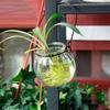Arreglo Floral Hidropónico Botella Colgante de Pesca Jarrón de Calabaza Recipiente de Vidrio Maceta Hidropónica de Calabaza Maceta para Plantas Botella de Vidrio