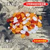 Plato de Alimentación Cerámico para Grillos y Saltamontes, Bol de Arroz, Jarra de Aceite, Saltamontes, Insecto Negro, Insecto Chirriante, Suministros para Reptiles, Utensilios, Plato de Alimentación con Borde Azul, Plato de Alimentación