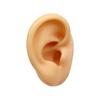 Modelo de oreja falsa de simulación de silicona 5D tatuaje piercing aretes para oreja pendientes audífono entrenador de acupuntura enseñanza para quitar cera del oído