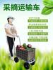 Vehículo de transporte de recolección multipropósito invernadero coche perezoso carrito para frutas y verduras agrícolas herramienta plegable portátil para coche