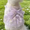 Vestido de tule para pet com borboleta em relevo dourado, novo design estiloso para cães pequenos e médios como Teddy, Bichon e Schnauzer