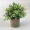 Combinação de venda imperdível da Amazon transfronteiriça Simulação de planta em vaso estilo nórdico mobiliário doméstico Desktop Mini Planta Verde Bonsai