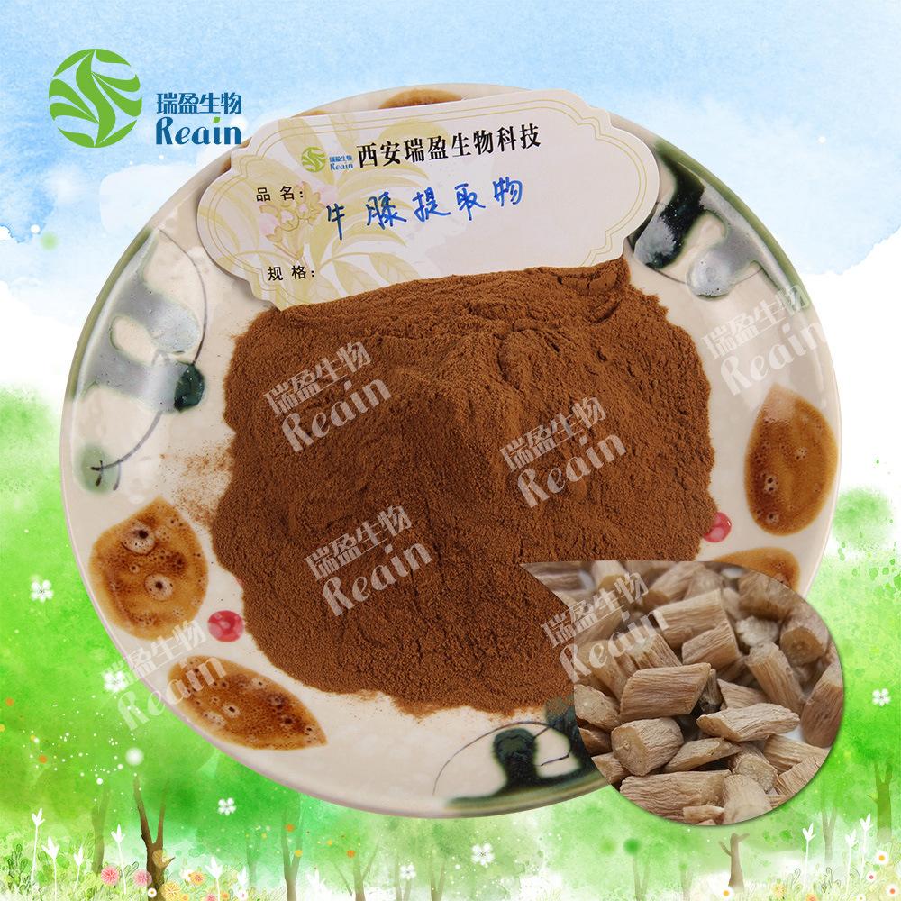 牛膝提取物原料+粉末