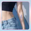Polaris Shine Brazo Cintura Abdomen Color Coreano Tatuaje Pegatina Estilo Ins Lindo Duradero Impermeable Clavícula Femenina Personalidad