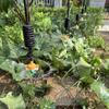 Boquilla colgante invernadero aspersor de verduras equipo de riego hongo comestible aspersor atomización traje micro-aspersión colgante válvula antigoteo micro-aspersor colgante