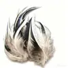 Venta al por mayor del fabricante Plumas Pequeñas de Faisán DIY Tocado de Plumas de Faisán Broche Sombrero Zapatos Artesanías Materiales de Decoración