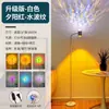 Lámpara de pie de onda de agua de doble cabezal con control remoto para cambio de color, iluminación ambiental, simulación de atardecer, iluminación de fondo de 16 colores para transmisión en vivo