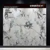 Losa de Roca Brillante Foshan 800x2600 Panel Grande con Patrón Continuo para Pared de Fondo de TV de Sala de Estar y Baldosas de Piso, Textura de Piedra Lujosa, Calidad de Exportación