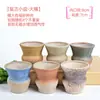 Maceta para pulgar suculenta mini mini maceta para pulgar maceta de cerámica para flores suculentas planta creativa flor pequeña Ma Long mesa Mai Tai Bao
