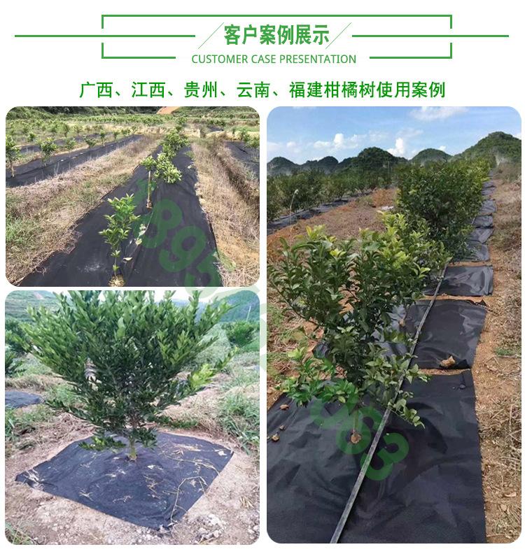 客户案例展示_01