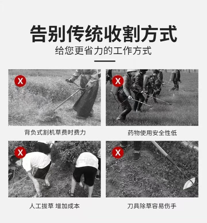 微信图片_20250719104823.jpg