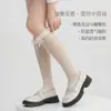 Meias de Malha Leves e Respiráveis para Primavera e Verão, Meias Fofas e Doces Estilo College JK, Meias Lolita com Renda e Laço em Padrão Vazado