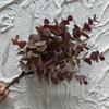 Imitação de flores Folhas de eucalipto Plástico Verde Plantando Folhas de dinheiro Flor falsa Mesa de jantar Estilo Mori Flor-estilo Flor-estilo Cross-border Hot Sale