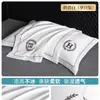 Funda de almohada de seda helada refrescante lavable Juego de dos fundas de almohada bordadas de verano Funda de almohada individual lavable a máquina 48X74Cm